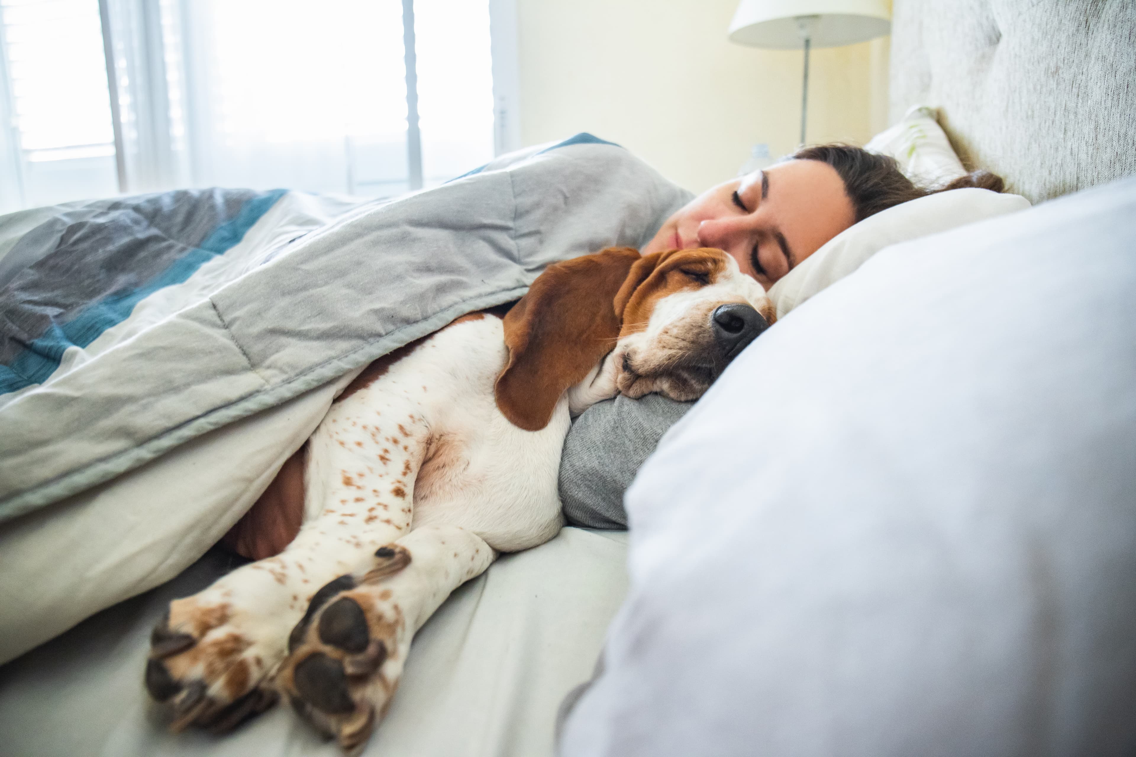 A woman sleeping in her Leesa bed with her dog